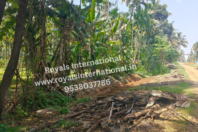 Land suitable for Agriculture & Farm House in Hessaraghatta, Bangalore