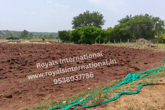 PLand Suitable for Agriculture & Farm House near nrithyagrama Hessaraghatta Road, Bangalore
