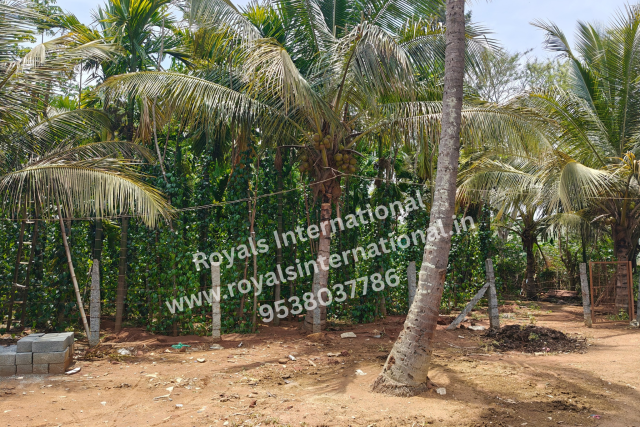 Land suitable for Agriculture & Farm House in Hessaraghatta, Bangalore